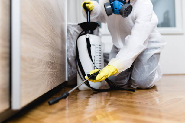 Pest Control for Restaurants in Flanders, NY