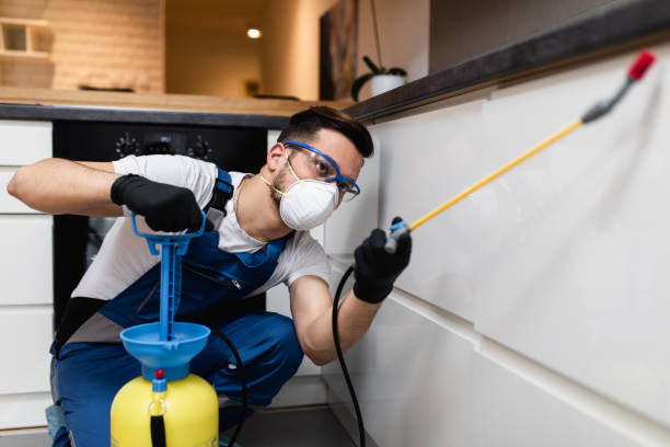 Reliable Flanders, NY Pest Control Solutions