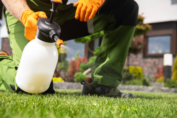 Best Wasp Removal Services  in Flanders, NY