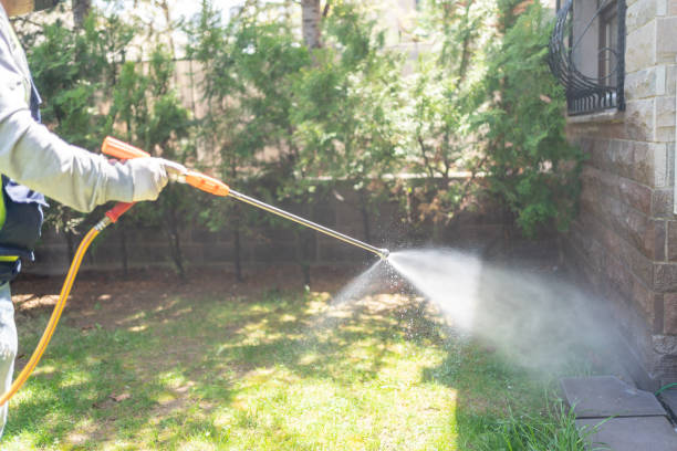 Best Wildlife Control Services  in Flanders, NY
