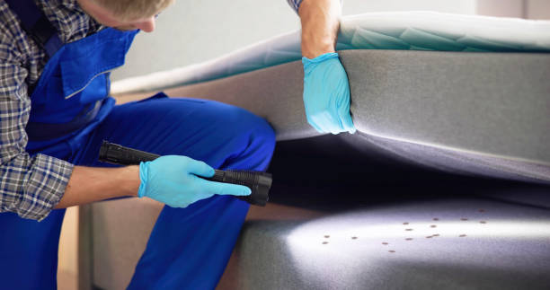 Best Cockroach Control Services  in Flanders, NY