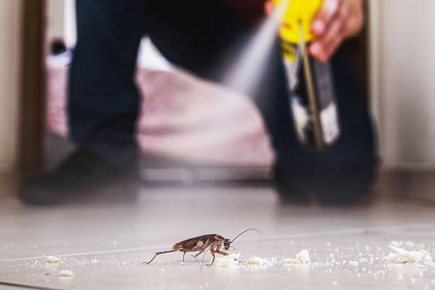 Best Wildlife Control Services  in Flanders, NY