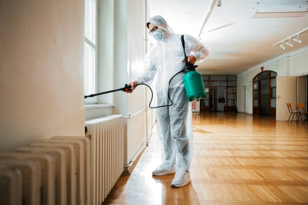 Best Flea Control Services  in Flanders, NY