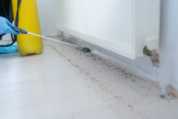 Best Pest Control Near Me in Flanders, NY